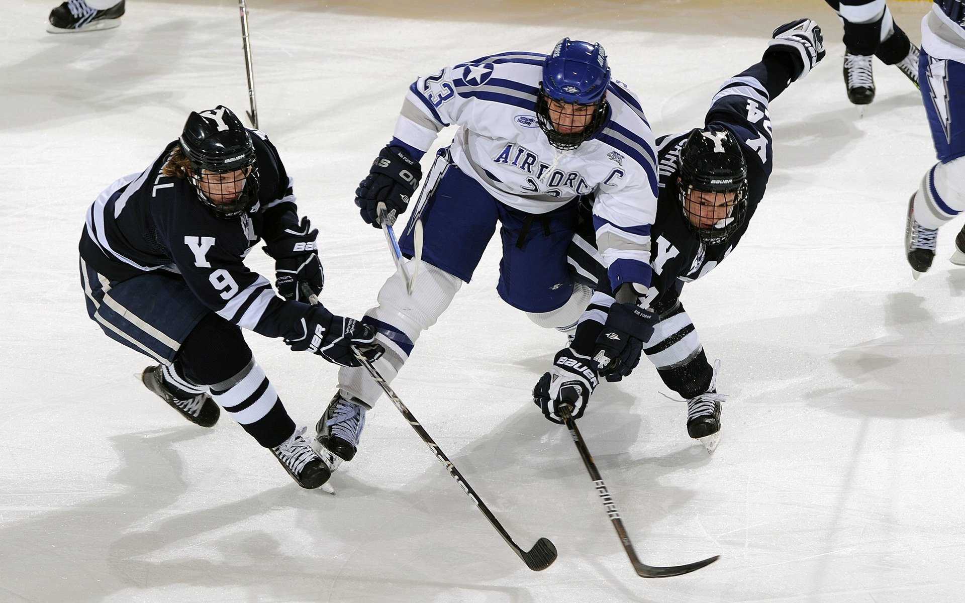 亚历山大马克西当选周最佳!东契奇、里夫斯携手亮相提名荣耀